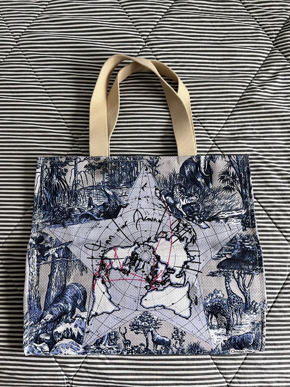 Dior Platinum gift Canvas Tote Bag with Blue Toile Map Print and Cream Handles